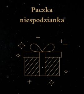 Paczka Niespodzianka Duża