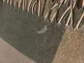 IMG-6690.jpg
