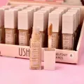korektor 7.JPG