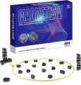 magnetic 2.JPG