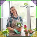 kule nawadniające 3.webp